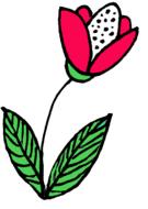 flower nosegay nature flora summer