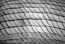 Texture of Roof Architecture