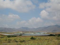 Landscape Rural Field