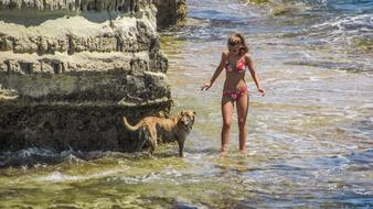 Girl in colorful bikini with the dog, walking in the water, on the beautiful rocky coast on Cyprus, Greece, in summer