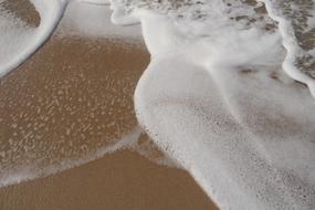 South Taiwan Beach macro