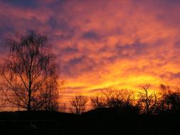 Sunrise Nature Skies