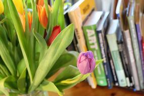 bouquet of tulips by the books