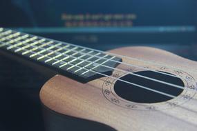 Strings Euchre Lili