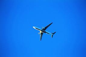 Fly Airplane Aircraft