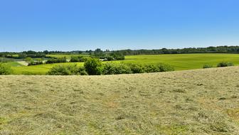 Hay Landscape Fields Northern