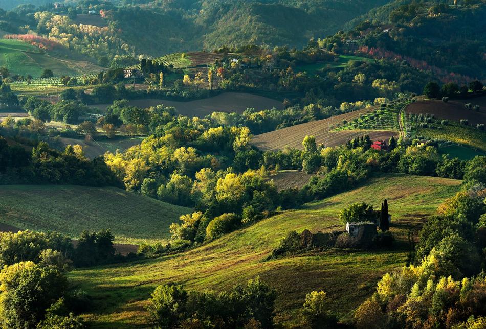 houses on a meadow with trees