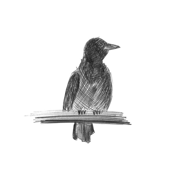 figure bird monochrome illustration