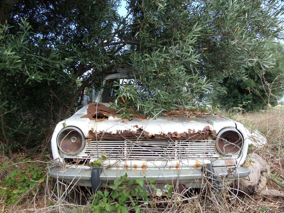 Car Wreck Rust