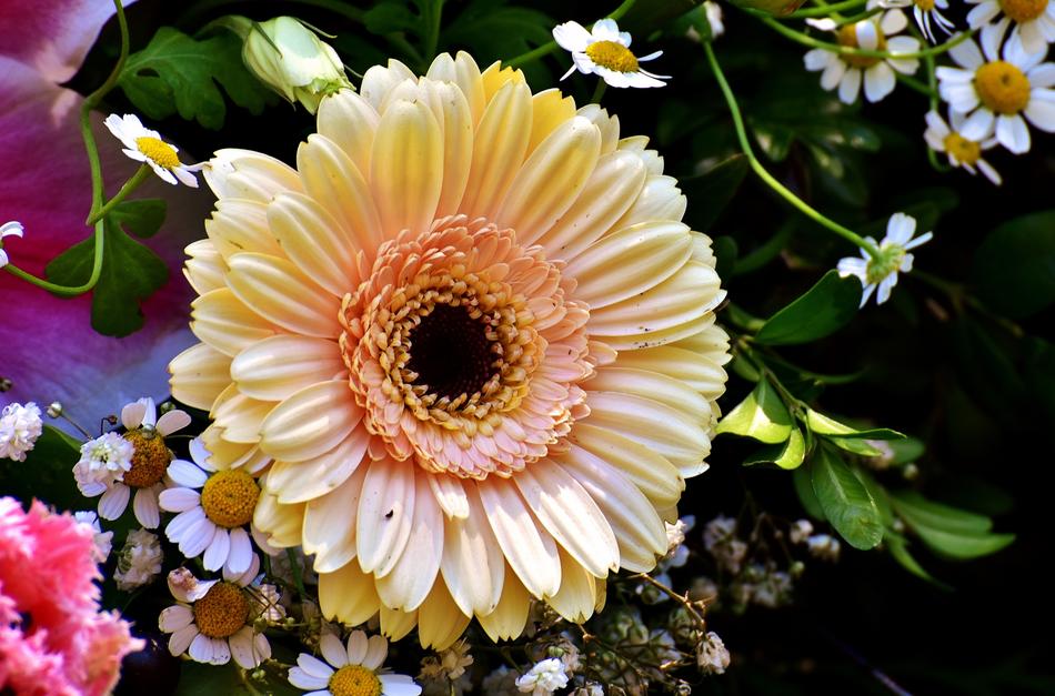 a big flower in a bouquet on the foliage