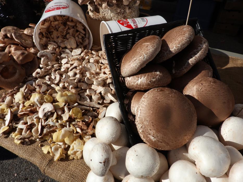 raw mushrooms in a box
