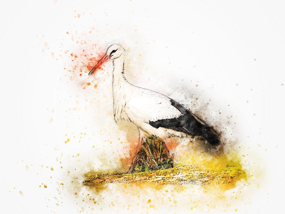 stork bird art abstract watercolor