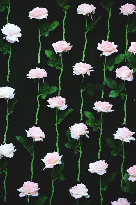 a lot of roses in the air