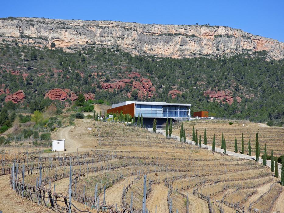 farm wine garden