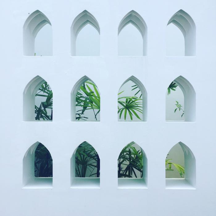 Architecture Palms Oasis