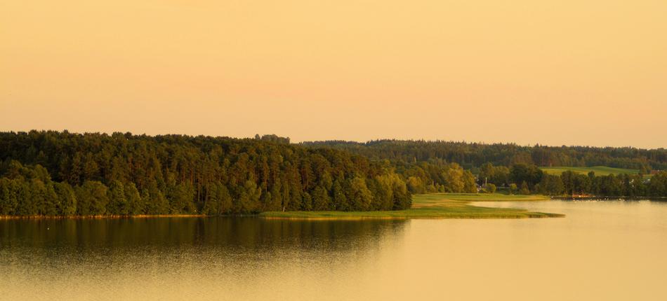 Nature View Landscape