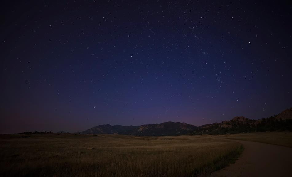 evening landscape in the meadow