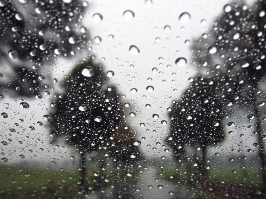 Raindrops Trees Background