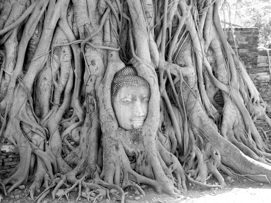 Ayutthaya