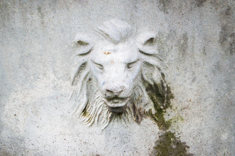 Lion Building Wall