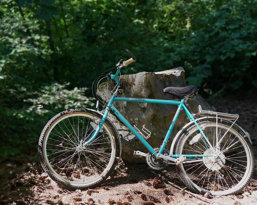 Bicycle Old Schwinn