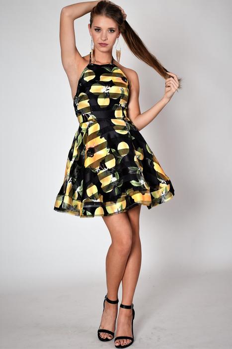 Dress Fashion