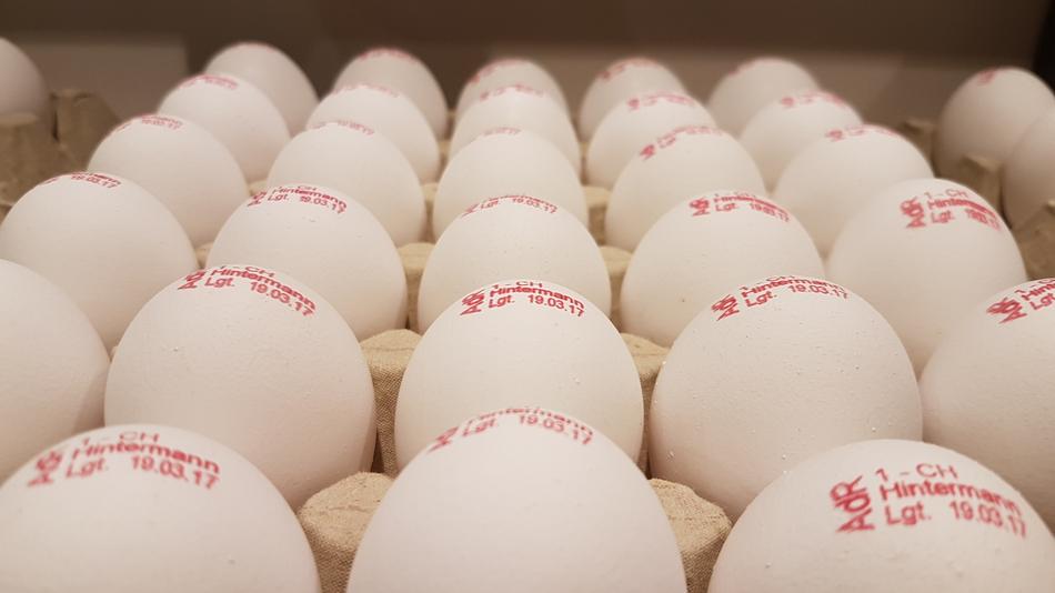 signed eggs in a box