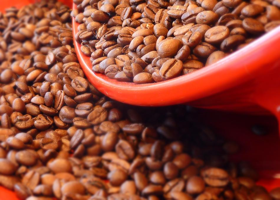 aromatic coffee beans in a plate