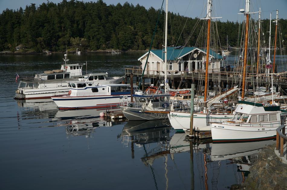 Boat Harbour Water
