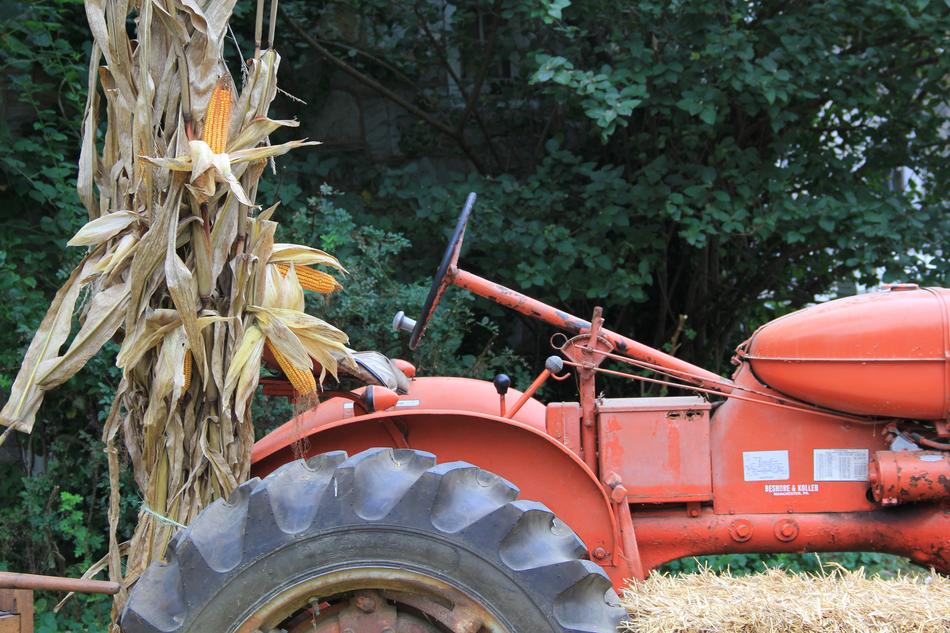 Tractor Corn Stalks Red