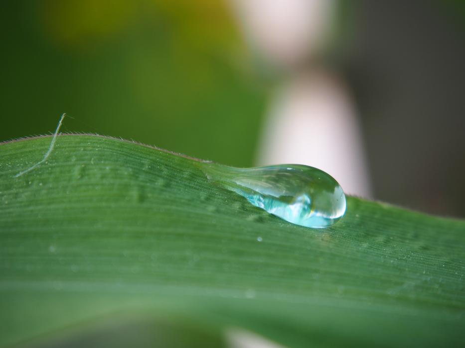 Drop Of Water Drip