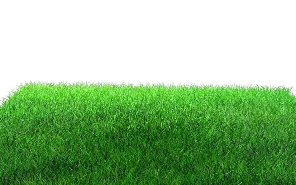 green grass for the field