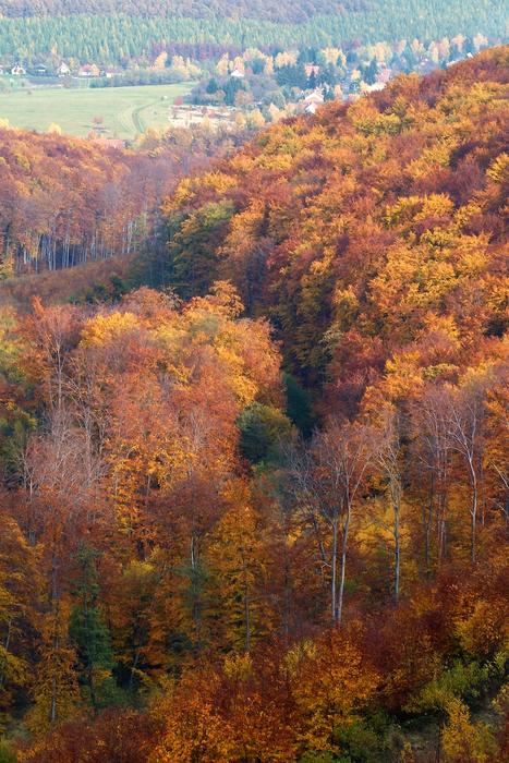 Hungary Matra Mountains Landscape