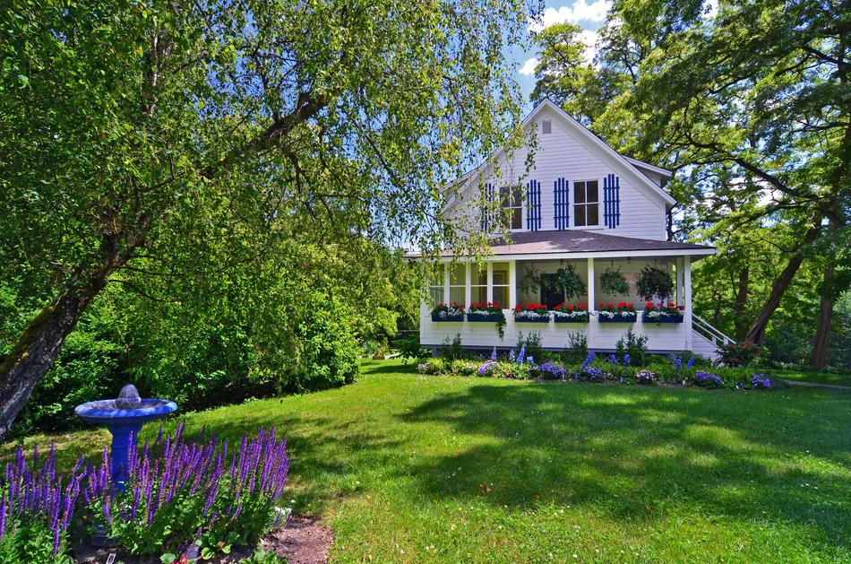 Farm House Flower