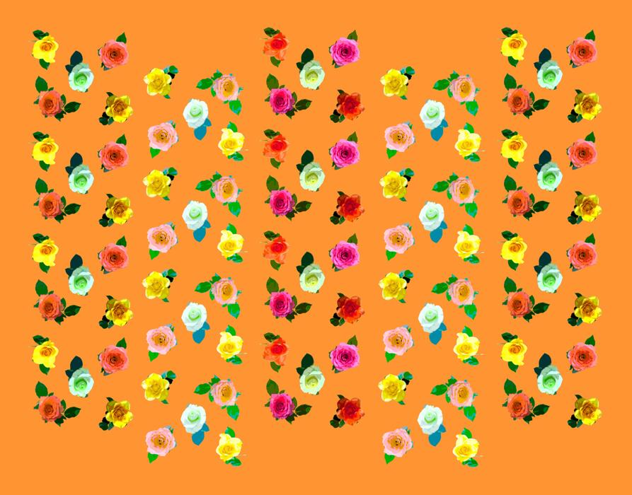 orange pattern roses flowers