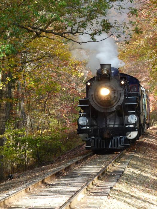Train Steam