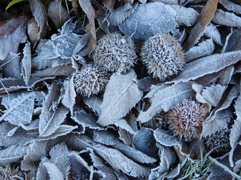 frozen castings dry