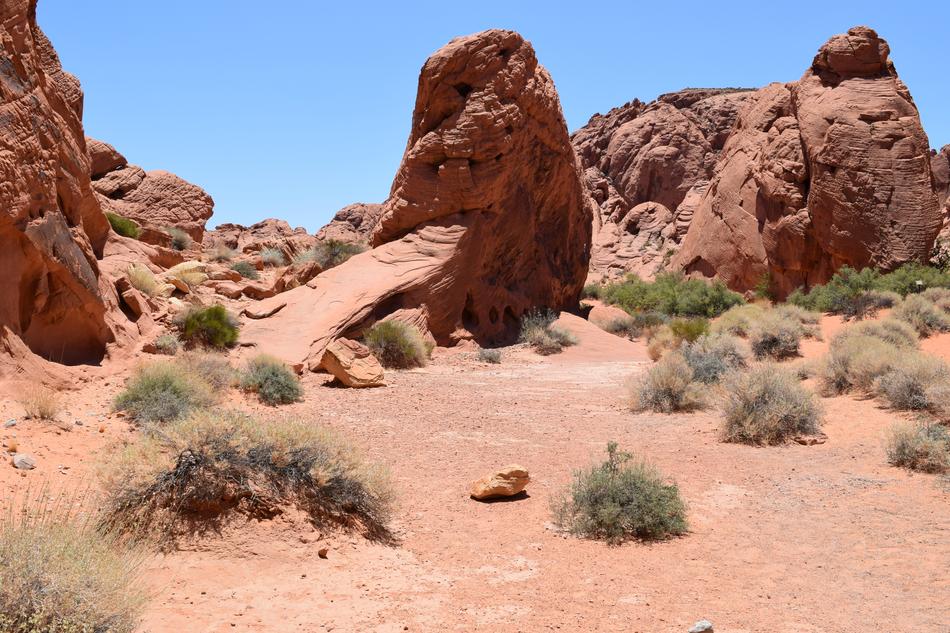 red rocks with cacti