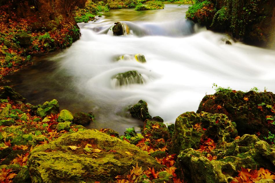 waterfall in colorful leaves