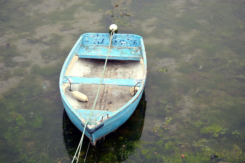 Boat Water Browse