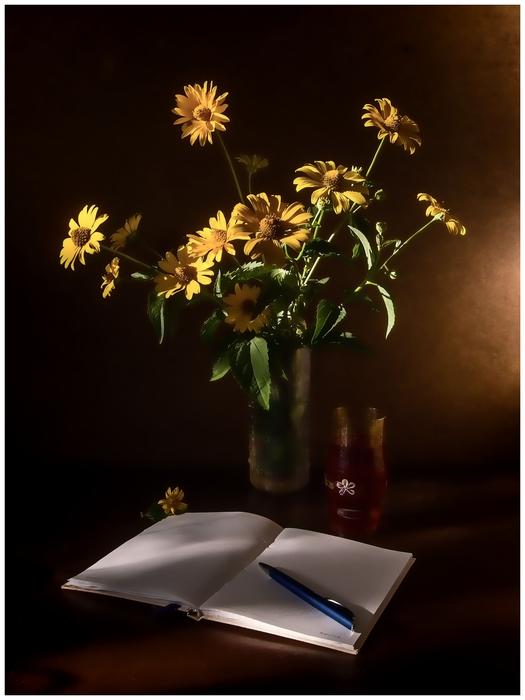 Still Life Chamomile