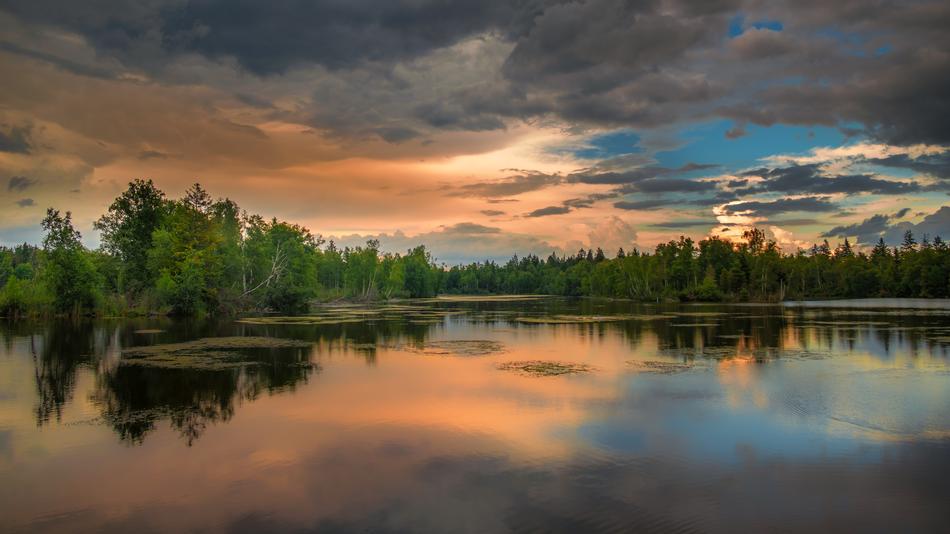 landscape nature trees view