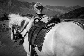 Black And white photo of Man and Horse Job