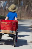 Boy and red Wagon Outdoor