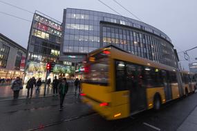 people crossing the road in the city