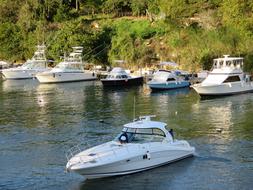 Tourism Island Of The Caribbean