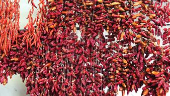 fragrant hot peppers hanging