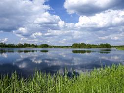 quiet lake with grass