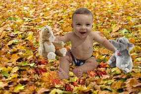 Baby toys and orange leaves