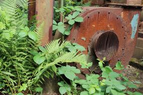 Old Lost Places in Duisburg